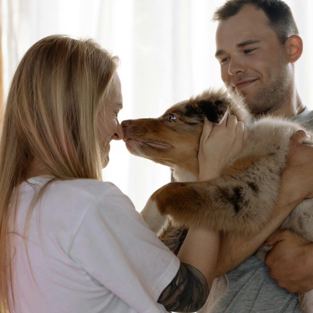 Couple lovingly interacting with their Australian Shepherd puppy indoors.